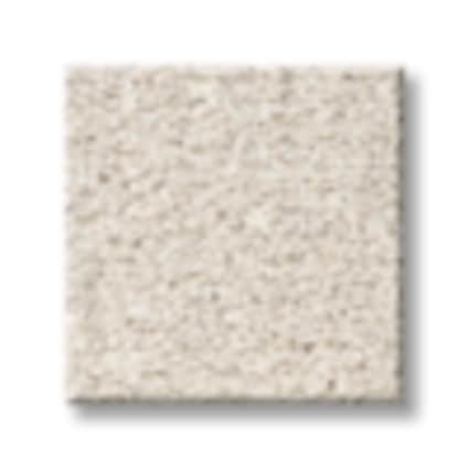 Shaw Beckers Bluff Texture Carpet