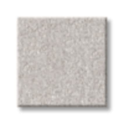 Shaw Little Neck Bay Texture Carpet with Pet Perfect