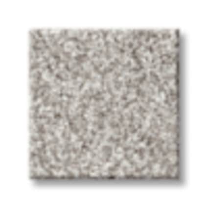 Shaw Astoria Park Texture Carpet with Pet Perfect