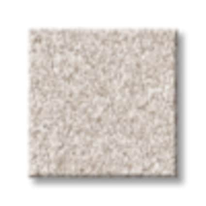 Shaw Munsey Park Texture Carpet with Pet Perfect