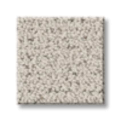 Shaw Washington Heights Pattern Carpet with Pet Perfect