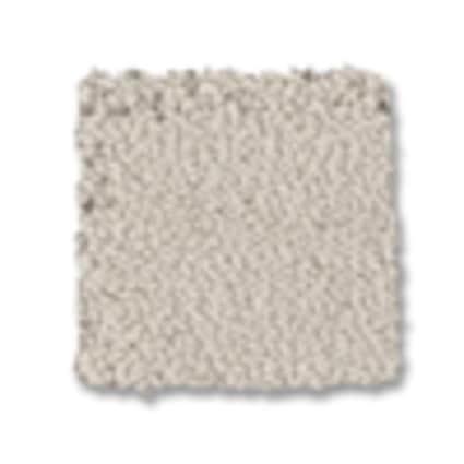 Shaw Glen Cove Pattern Carpet with Pet Perfect