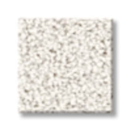 Shaw Mount Coulson Eggshell Texture Carpet-Sample