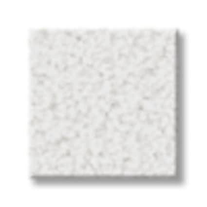 Shaw Mount Coulson Polar Texture Carpet-Sample