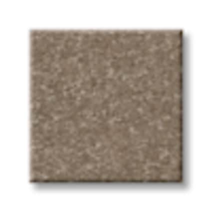 Shaw Flushing Bay Mahogany Texture Carpet with Pet Perfect-Sample