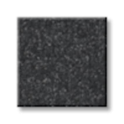 Shaw Flushing Bay Slate Texture Carpet with Pet Perfect-Sample