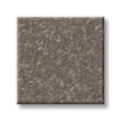 Shaw Flushing Bay Cappuccino Texture Carpet with Pet Perfect-Sample