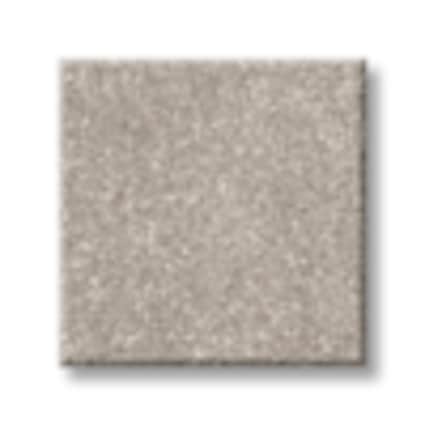 Shaw Little Neck Bay Moon Rock Texture Carpet with Pet Perfect-Sample