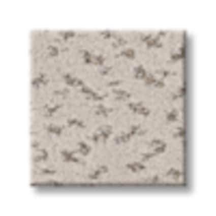Shaw Lenox Hill Lark Pattern Carpet with Pet Perfect Plus-Sample