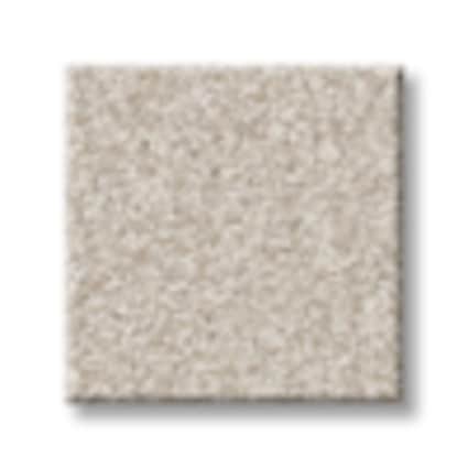 Shaw Astoria Park Brown Sugar Texture Carpet with Pet Perfect-Sample