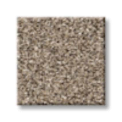 Shaw Astoria Park Khaki Texture Carpet with Pet Perfect-Sample