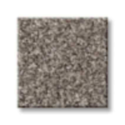 Shaw Astoria Park Warm Taupe Texture Carpet with Pet Perfect-Sample