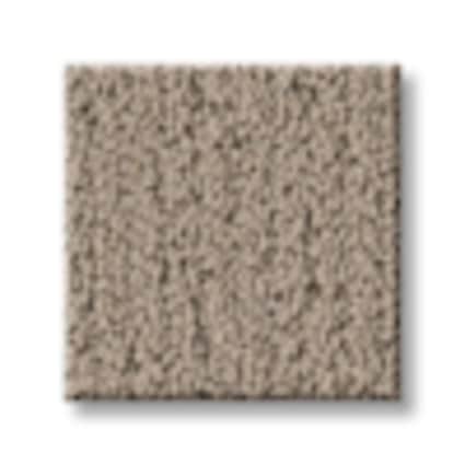 Shaw Washington Heights Brush Pattern Carpet with Pet Perfect-Sample
