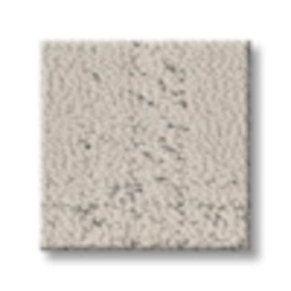Shaw Glen Cove Moonlight Pattern Carpet with Pet Perfect-Sample
