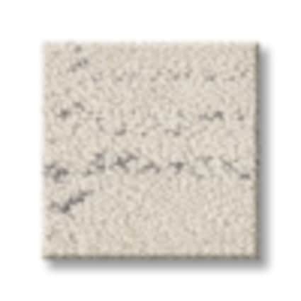 Shaw Glen Cove Space Pattern Carpet with Pet Perfect-Sample
