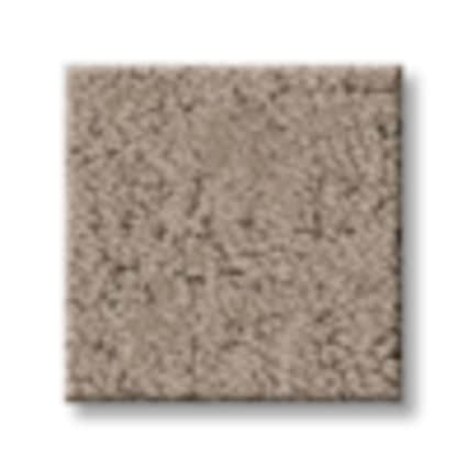 Shaw Bayside Hills Brush Pattern Carpet with Pet Perfect-Sample