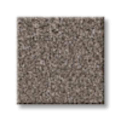 Shaw East River Metropolitan Texture Carpet with Pet Perfect Plus-Sample