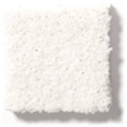 Shaw Jackson Heights Clean Sheets Texture Carpet with Pet Perfect Plus-Sample
