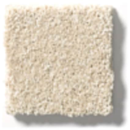 Shaw Jackson Heights Porcelain Texture Carpet with Pet Perfect Plus-Sample