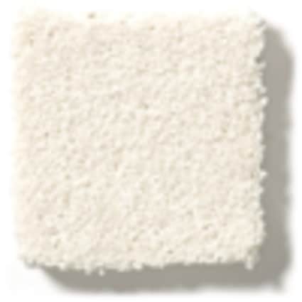 Shaw Jackson Heights Fresh Linen Texture Carpet with Pet Perfect Plus-Sample