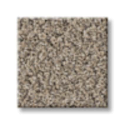 Shaw Gardiners Bay Earth Tone Texture Carpet with Pet Perfect Plus-Sample