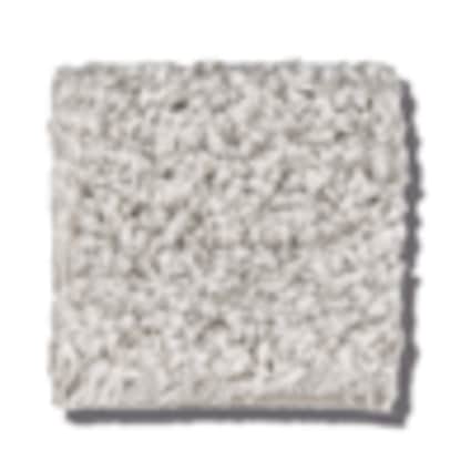 Shaw New Rochelle Goose Texture Carpet with Pet Perfect Plus-Sample