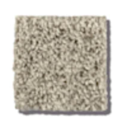 Shaw New Rochelle Greige Texture Carpet with Pet Perfect Plus-Sample