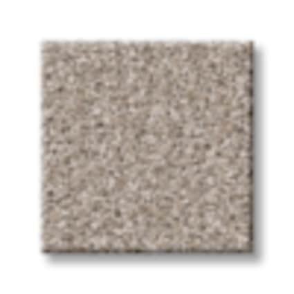 Shaw Lincoln Square Texture Carpet with Pet Perfect Plus