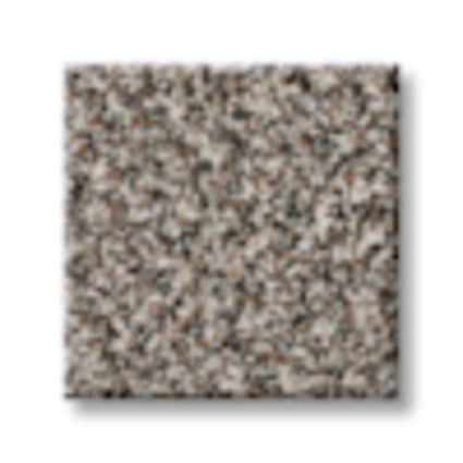 Shaw Timeless Trail Texture Carpet