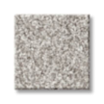 Shaw Shaw Battery Park Flour Texture Carpet with Pet
