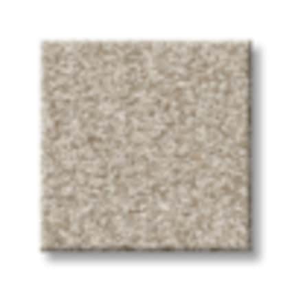 Shaw Shaw Battery Park Almond Texture Carpet with Pet