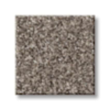 Shaw Shaw Battery Park Warm Taupe Texture Carpet with Pet