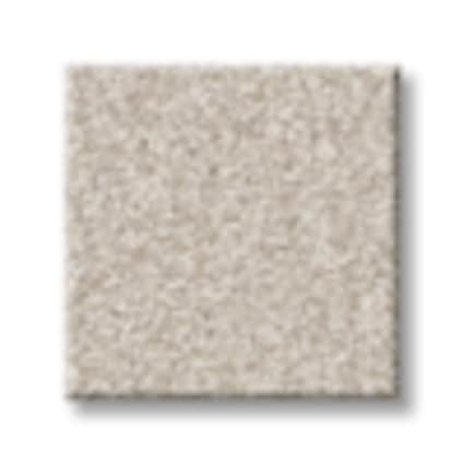 Shaw Shaw Battery Park Brown Sugar Texture Carpet with Pet