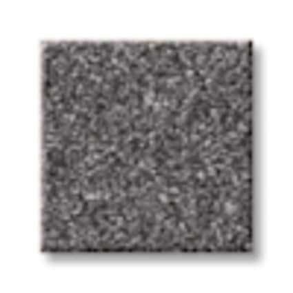 Shaw Shaw Battery Park Coal Texture Carpet with Pet