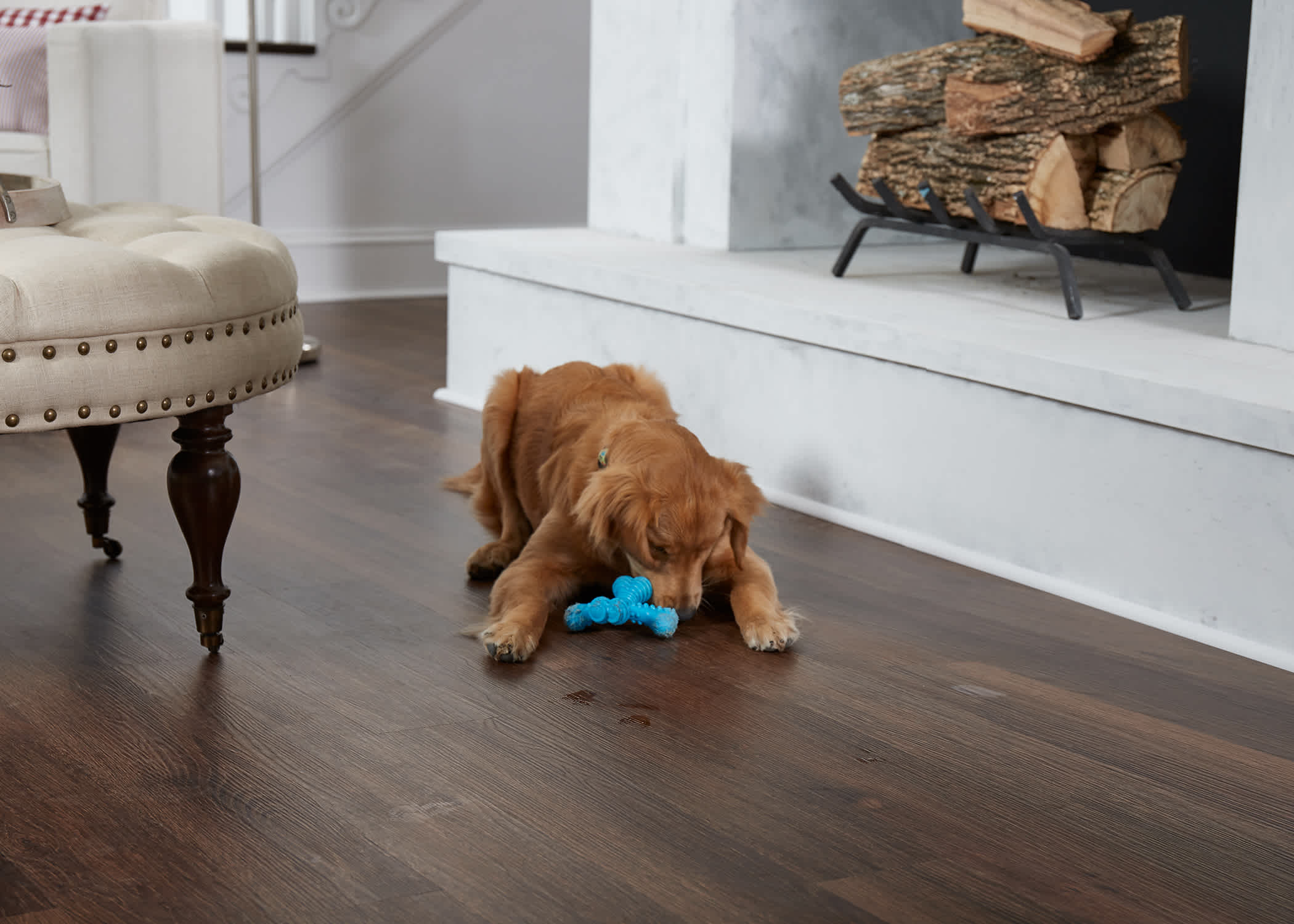 brown dog playing with blue toy on dark brown waterproof luxury vinyl plank floor in living room with white fireplace and firewood stacked