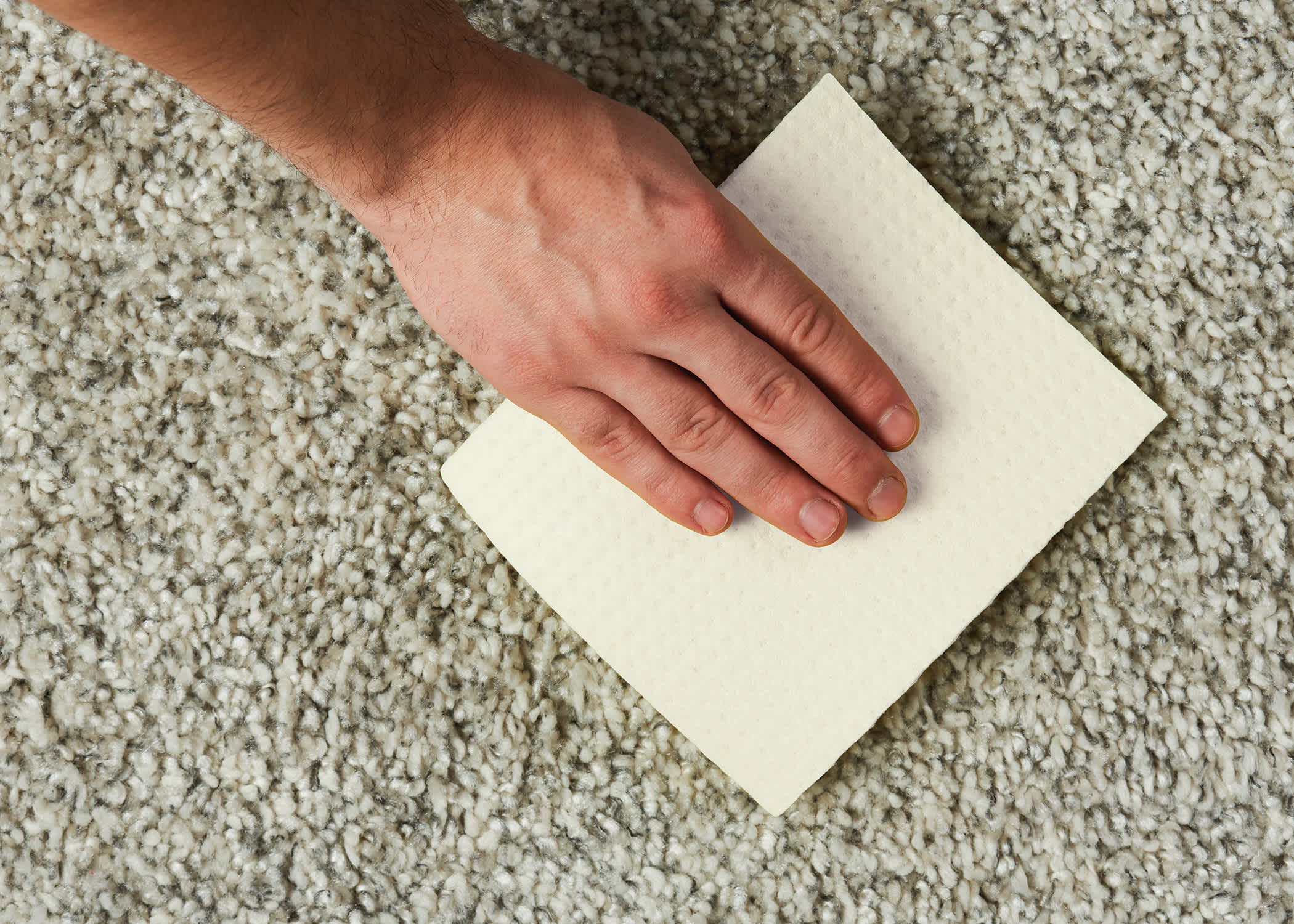 hand cleaning a carpet