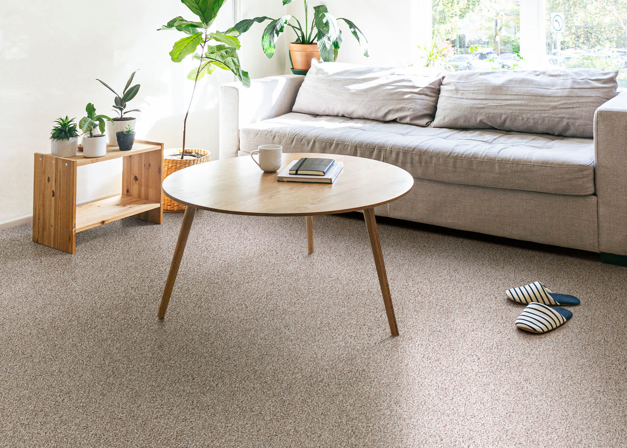 Image of brown carpet in a living room