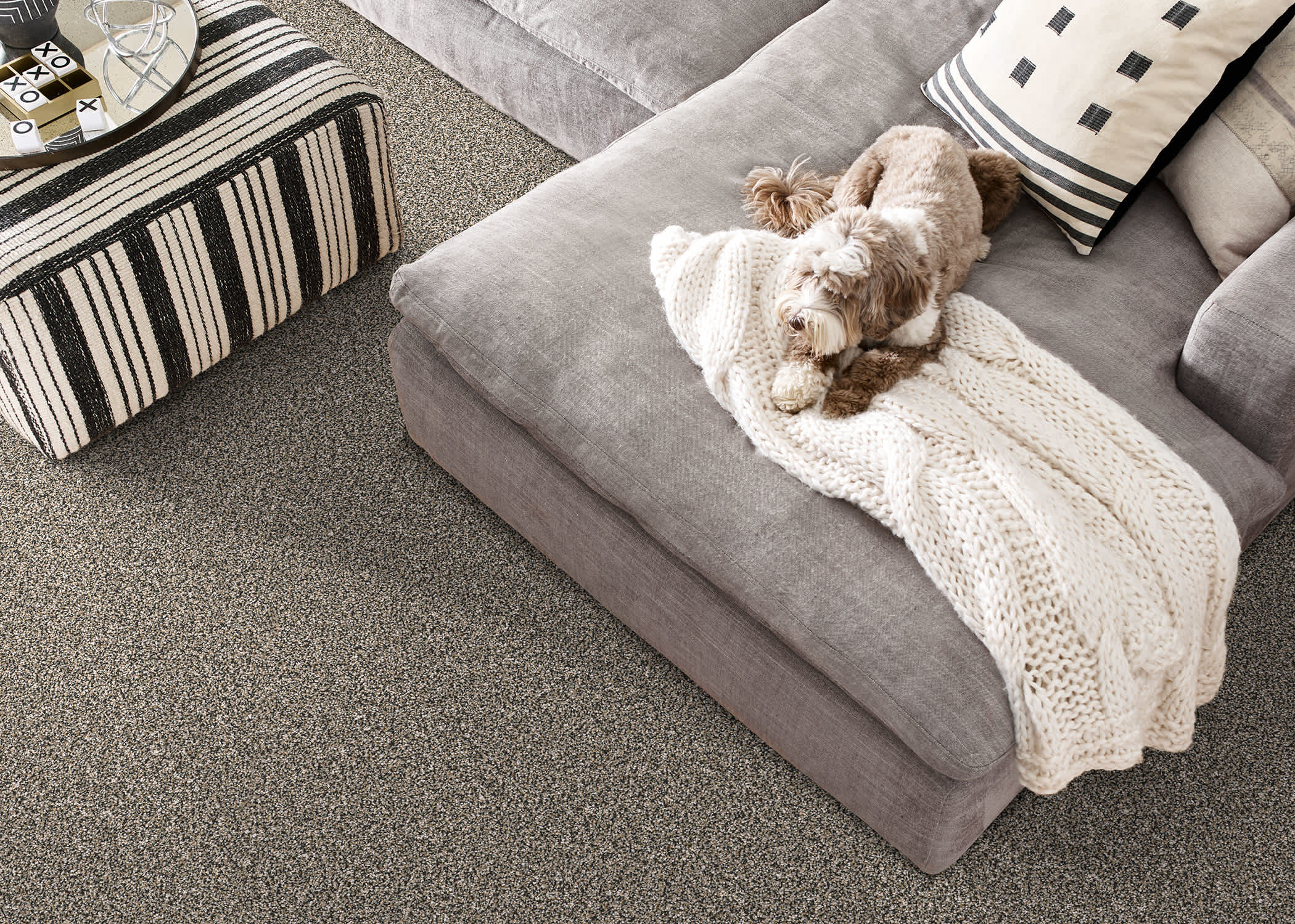 Image of plush carpet and furniture