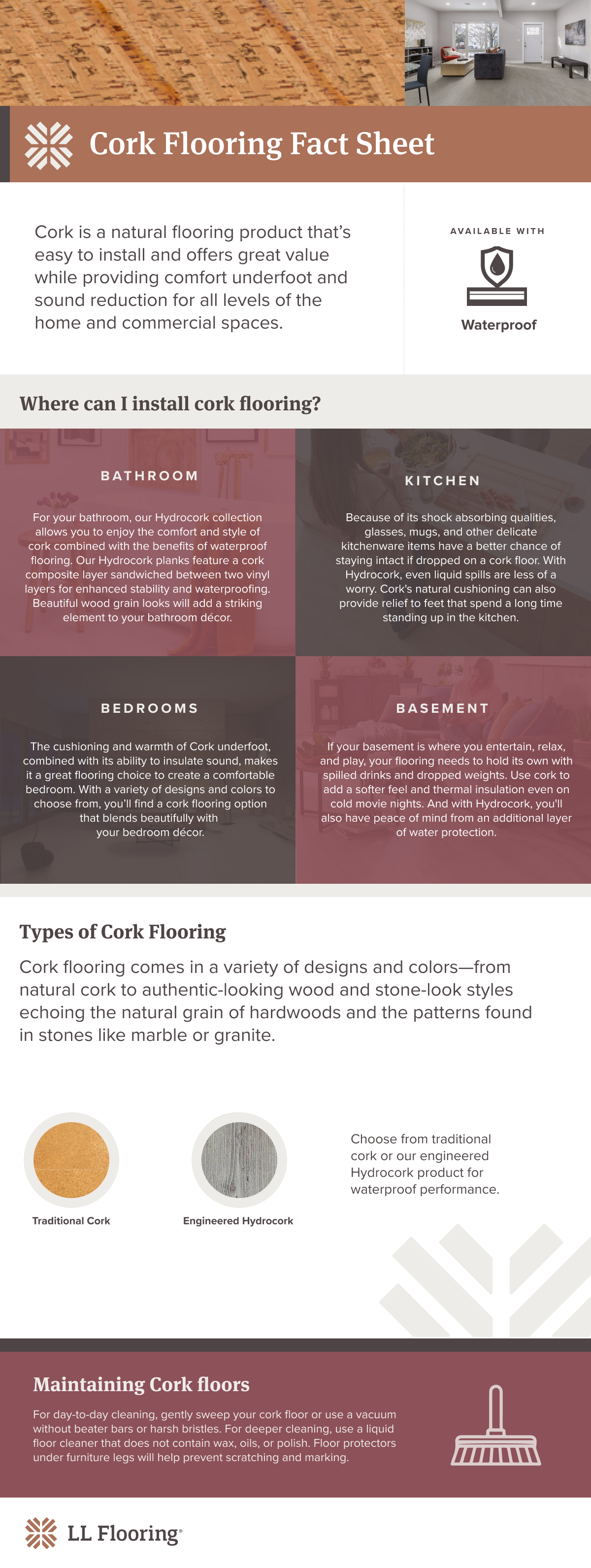 Cork Flooring Fact Sheet