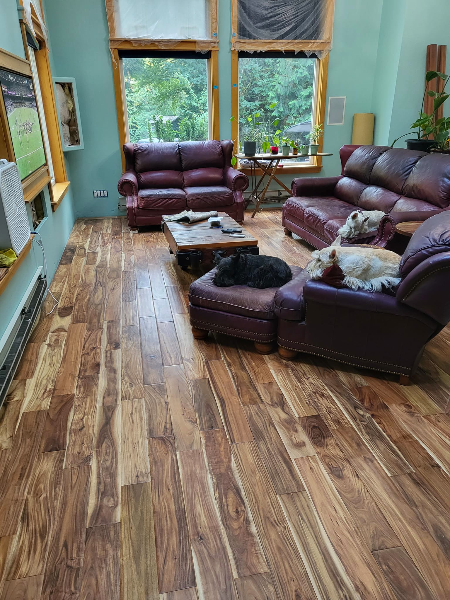 Living room after installation of close up of Tobacco Road Acacia hardwood flooring from ll flooring