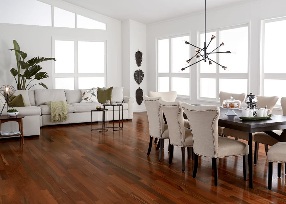 3/4 in. x 3 1/4 in. Brazilian Walnut Solid Hardwood Flooring in dining room with dark brown wood dining table with beige upholstered dining chairs plus starburst chandelier above and beige sectional sofa with green accent pillows