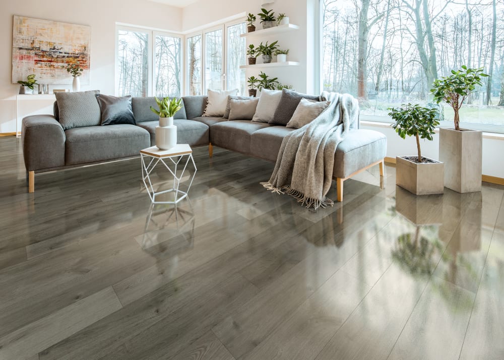 Dream Home 10mm Stockholm Silver Oak, Are High Gloss Laminate Flooring Reviews