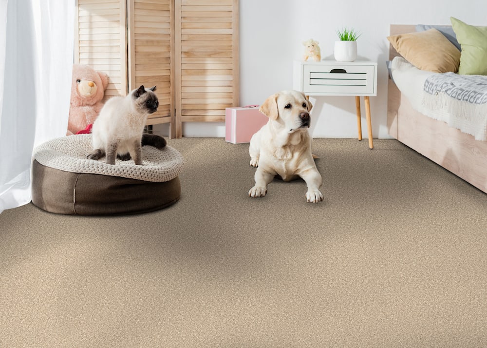 Montauk Point Carpet in Warm Stone in bedroom with blush pillows and off white bedding plus tan dog and black and white cat sitting on dog bed